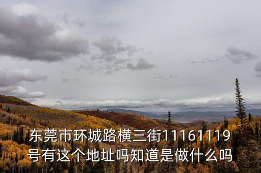 東莞市環城路橫三街11161119號有這個地址嗎知道是做什么嗎