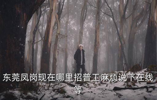 東莞鳳崗現在哪里招普工麻煩說下在線等