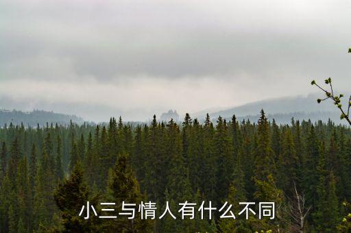 小三什么意思,男人把女人稱為小三什么意思