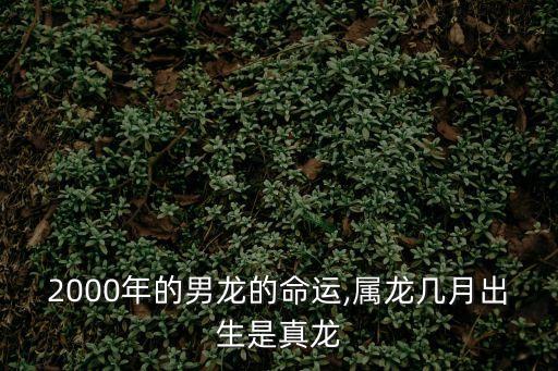 2000年的男龍的命運,屬龍幾月出生是真龍