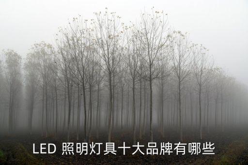國外led照明公司,LED路燈照明公司