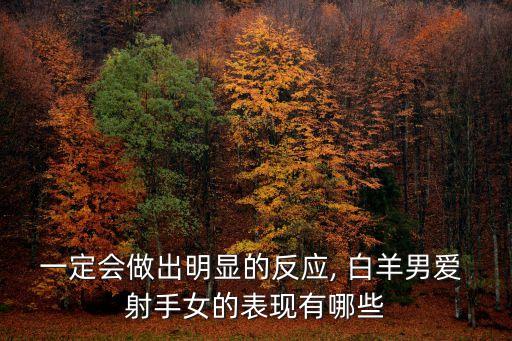 白羊男射手女