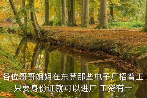 各位哥哥姐姐在東莞那些電子廠招普工只要身份證就可以進廠 工資有一