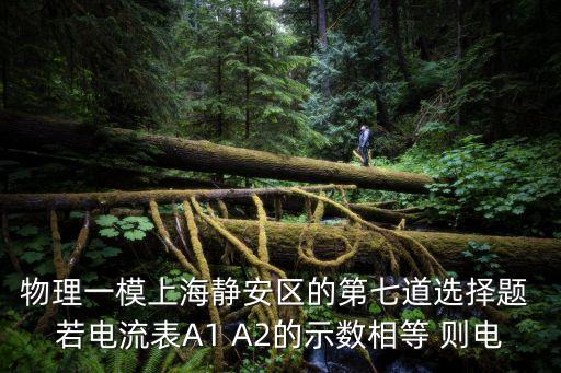 物理一模上海靜安區的第七道選擇題 若電流表A1 A2的示數相等 則電