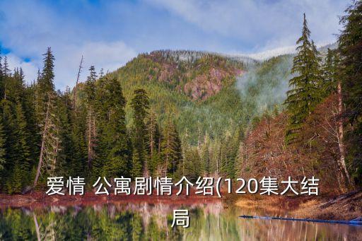  愛情 公寓劇情介紹(120集大結(jié)局