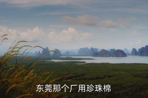 東莞那個廠用珍珠棉