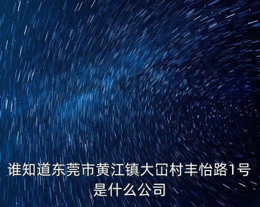 誰知道東莞市黃江鎮大冚村豐怡路1號是什么公司