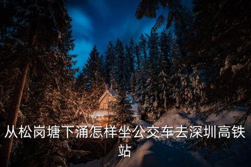 從松崗塘下涌怎樣坐公交車去深圳高鐵站