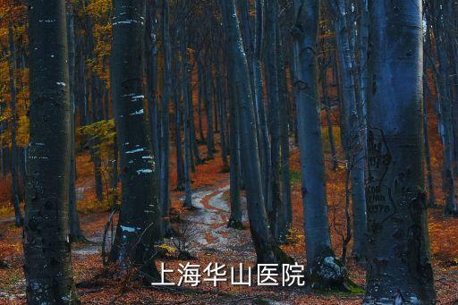 上海市華山醫(yī)院簡歷，上海華山醫(yī)院