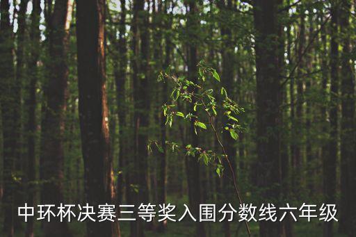 上海市青少年金鑰匙活動決賽，中環杯去年四年級初賽入圍和得獎的分數線是多少