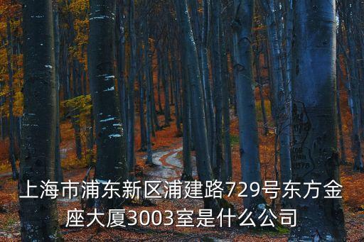 上海市浦東新區浦建路729號東方金座大廈3003室是什么公司