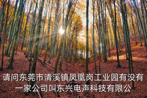 請問東莞市清溪鎮鳳凰崗工業園有沒有一家公司叫東興電聲科技有限公