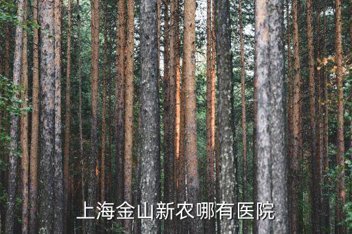 上海金山新農哪有醫院