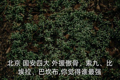 國安外援,國安11人陣容出爐