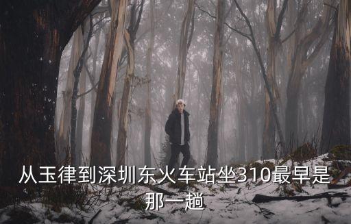 從玉律到深圳東火車站坐310最早是那一趟