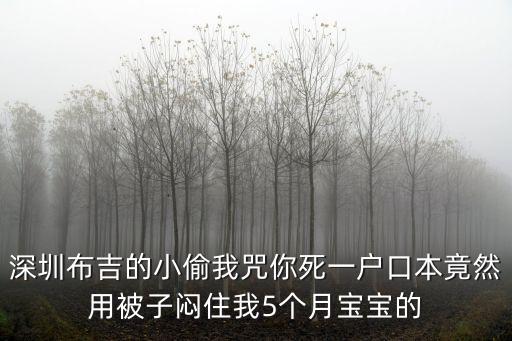 深圳布吉的小偷我咒你死一戶口本竟然用被子悶住我5個月寶寶的