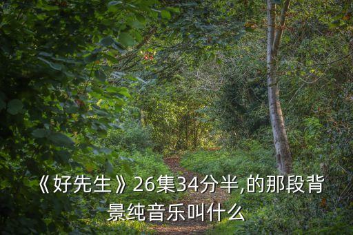 好先生插曲,電視劇好先生插曲