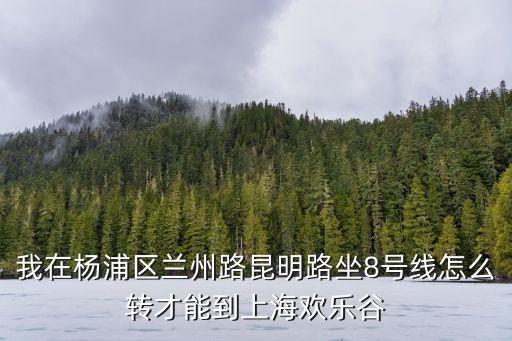 上海市昆明路蘭州路站街搬到哪里，上海洛克公園的具體地址