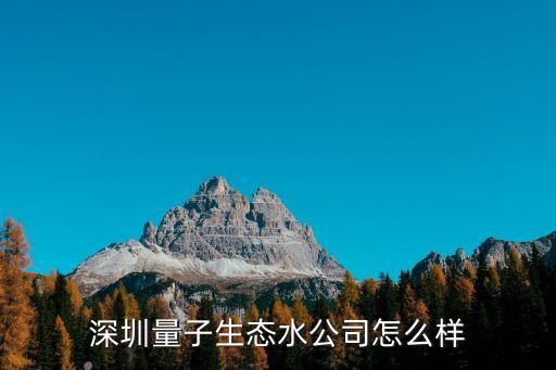 深圳量子生態(tài)水公司怎么樣