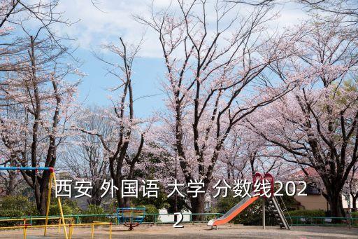 西安外國語大學分數線