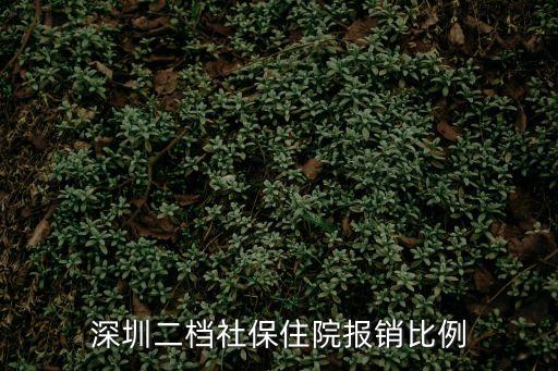 深圳二檔社保住院報銷比例