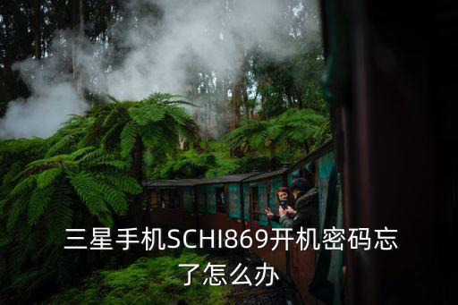  三星手機SCHI869開機密碼忘了怎么辦