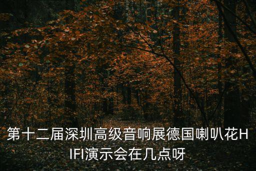第十二屆深圳高級音響展德國喇叭花HIFI演示會在幾點呀