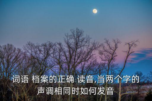 檔案讀音,管理檔案讀音