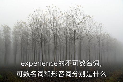 experience的不可數(shù)名詞,可數(shù)名詞和形容詞分別是什么