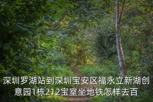 深圳羅湖火車站到福永，深圳羅湖車站怎么到福永車站