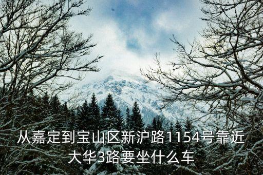 從嘉定到寶山區新滬路1154號靠近大華3路要坐什么車