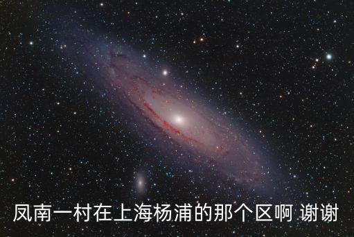 鳳南一村在上海楊浦的那個區啊 謝謝