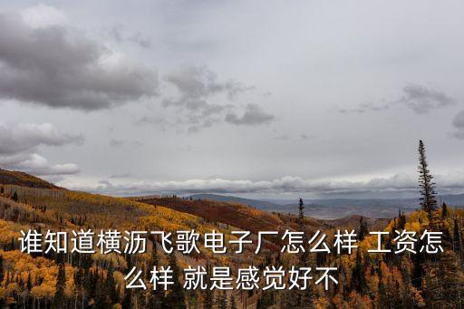 誰知道橫瀝飛歌電子廠怎么樣 工資怎么樣 就是感覺好不
