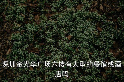 深圳市金光華廣場周圍酒店，深圳市區里有什么酒店500300左右有電腦的