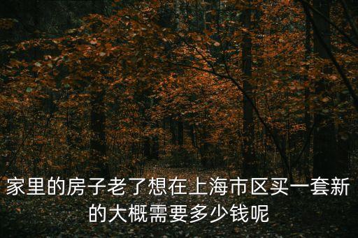 家里的房子老了想在上海市區(qū)買一套新的大概需要多少錢呢