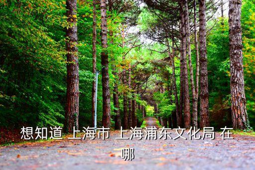 上海市徐匯區(qū)文化局地址，想知道 上海市 上海市徐匯區(qū)文明辦 在哪