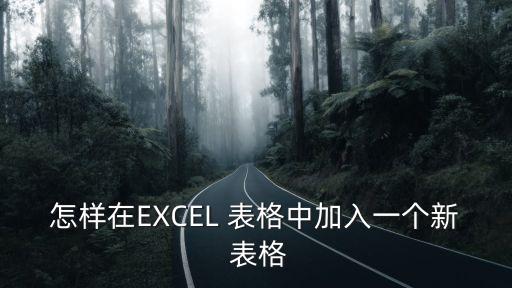 怎樣在EXCEL 表格中加入一個新 表格