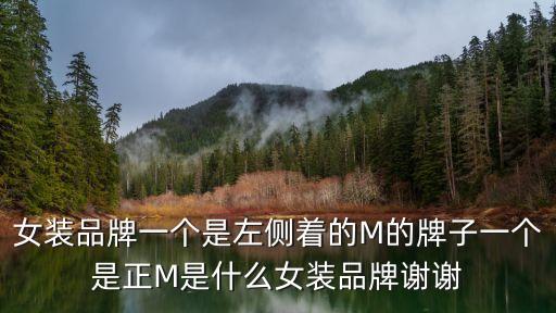 深圳3M女裝，哪個(gè)3M思高魔布哪有賣多少錢