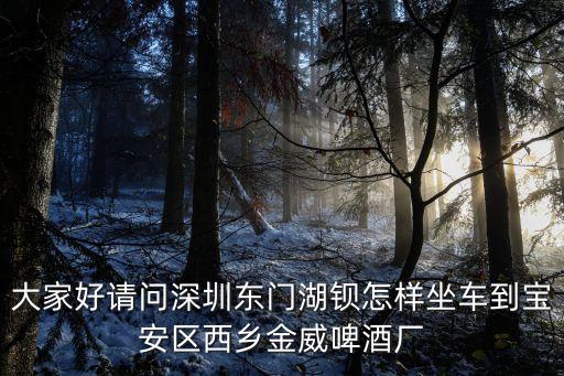 大家好請問深圳東門湖鋇怎樣坐車到寶安區西鄉金威啤酒廠