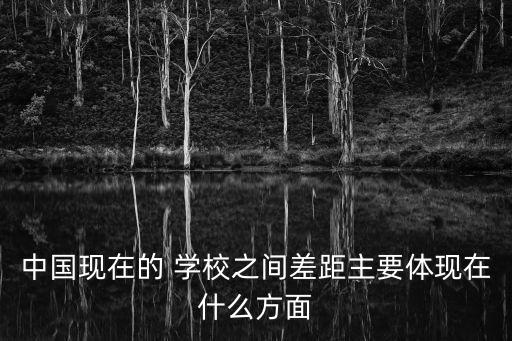 中國(guó)現(xiàn)在的 學(xué)校之間差距主要體現(xiàn)在什么方面