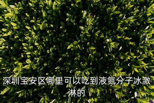 深圳寶安區哪里可以吃到液氮分子冰激淋的