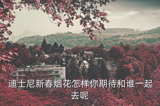  迪士尼新春煙花怎樣你期待和誰一起去呢