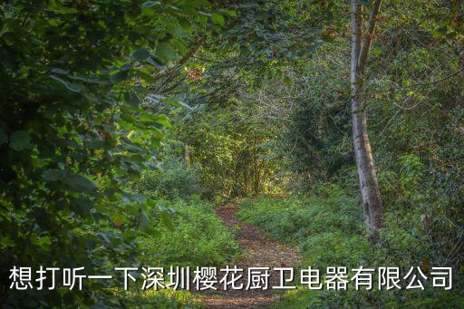 想打聽一下深圳櫻花廚衛電器有限公司
