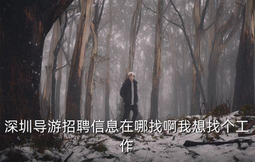 深圳導游招聘信息在哪找啊我想找個工作