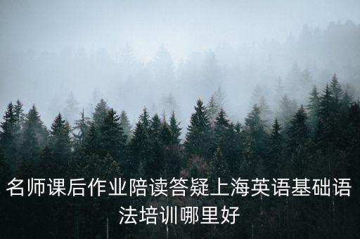 名師課后作業陪讀答疑上海英語基礎語法培訓哪里好
