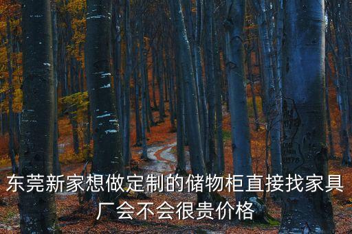 東莞新家想做定制的儲物柜直接找家具廠會不會很貴價格