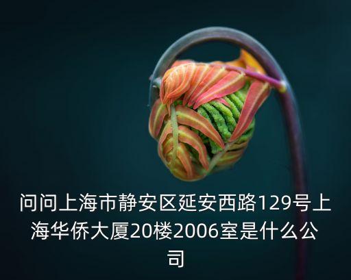 上海市中遠藍天，問問上海市靜安區延安西路129號上海華僑大廈20樓2006室是什么公司