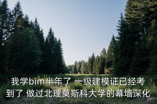 我學bim半年了 一級建模證已經(jīng)考到了 做過北理莫斯科大學的幕墻深化