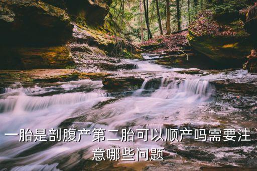 深圳一胎剖二胎順，一胎剖二胎順可以嗎