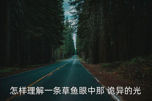 詭異的光,龍頭魚身上發出詭異藍光?